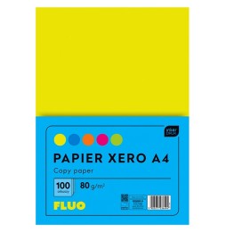 Papier ksero fluo mix A4/100k Interdruk