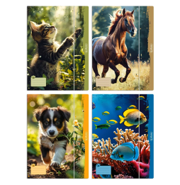 Teczka z gumką Herlitz Animals